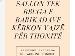 SALLON TEK RRUGA E BARIKADAVE KRKON ESTETISTE 1